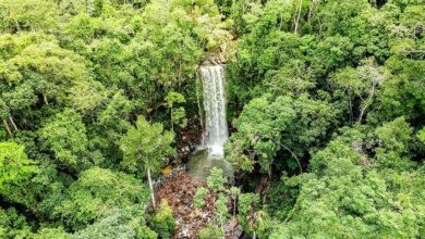 ecoturismo no brasil